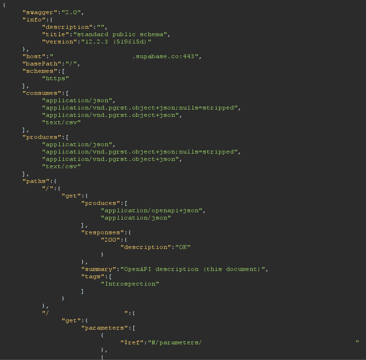 Valid JSON Database Schema Data Response